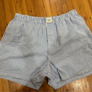 American Eagle Outfitters Blue and White Striped Boxers